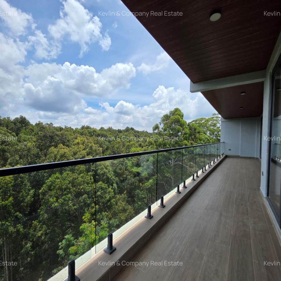 4 Bed Apartment with En Suite in Spring Valley - 2