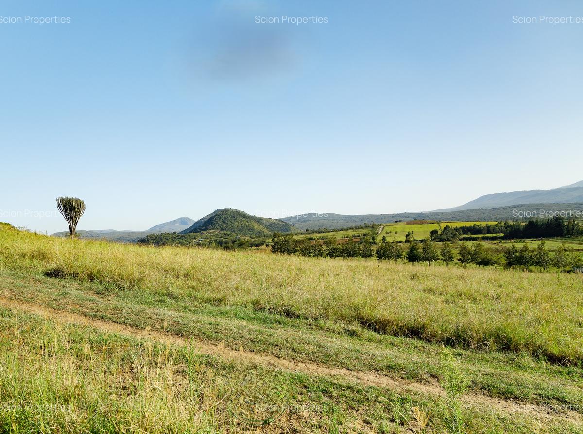 0.125 ac Residential Land in Naivasha - 7