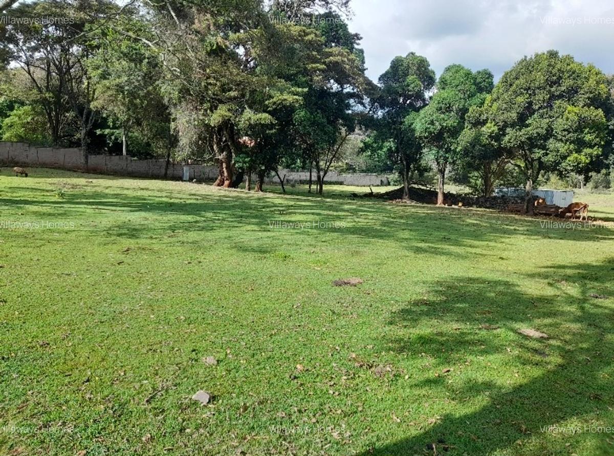 Commercial Property in Karen - 3