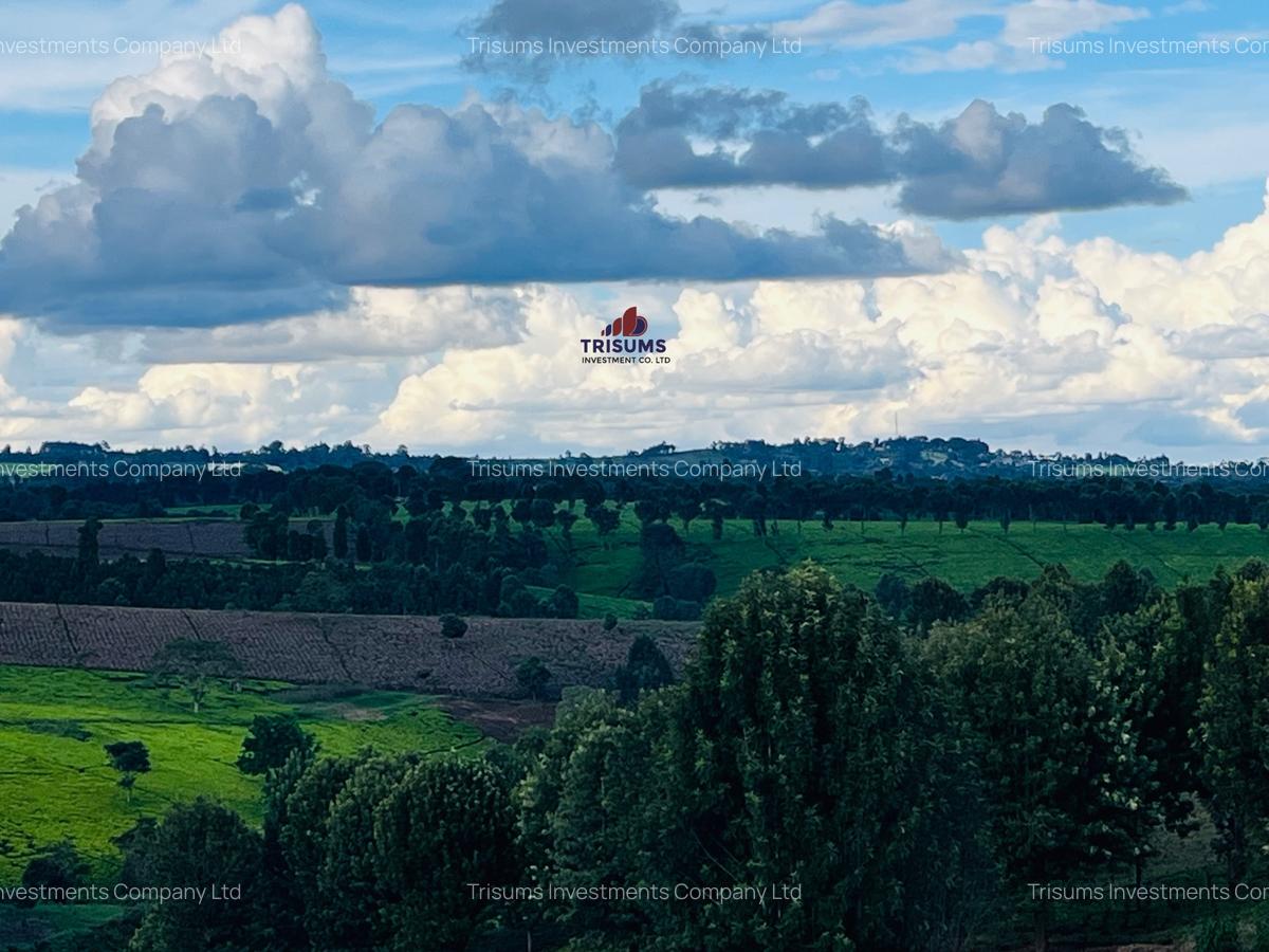 40 ac Land in Limuru - 2