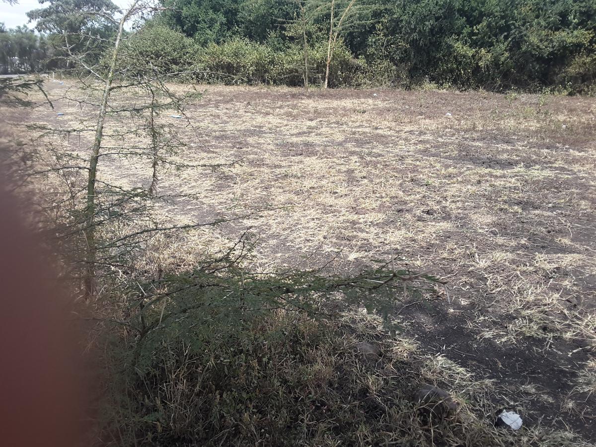 0.125 ac Residential Land in Ongata Rongai - 13