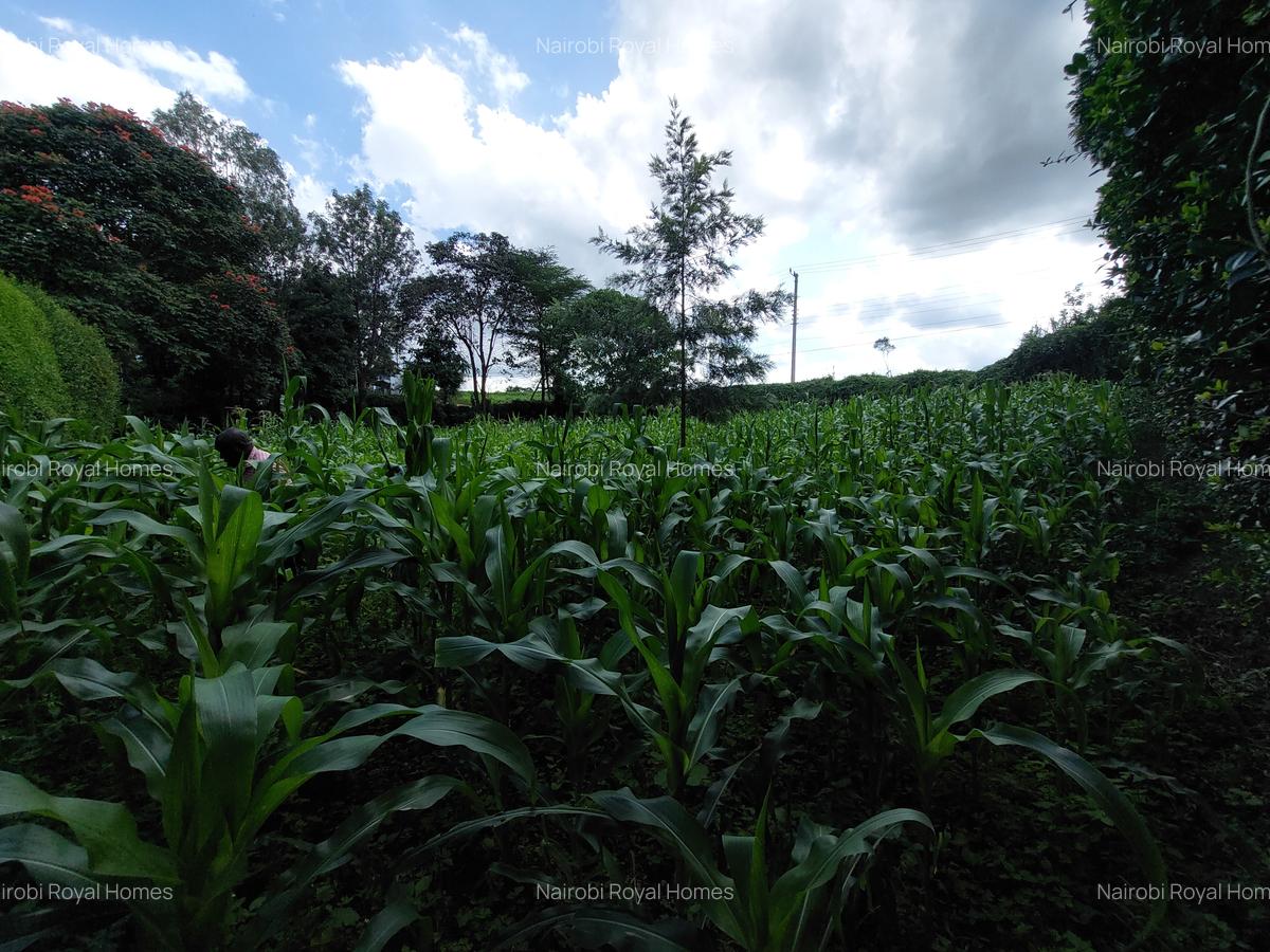 Land at Kirawa Road - 7