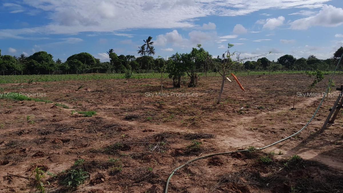 13 ac Land at Majaoni - 2