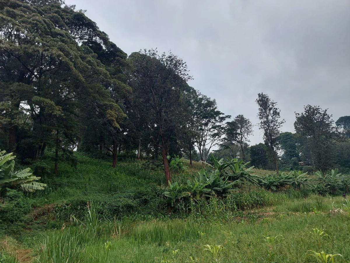 Residential Land at Kitisuru Ridge 44 - 5