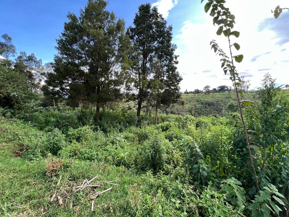 Land in Tigoni - 6