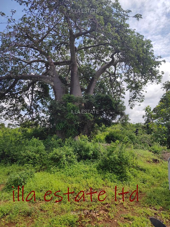 0.25 ac Land at Diani Beach Road - 2