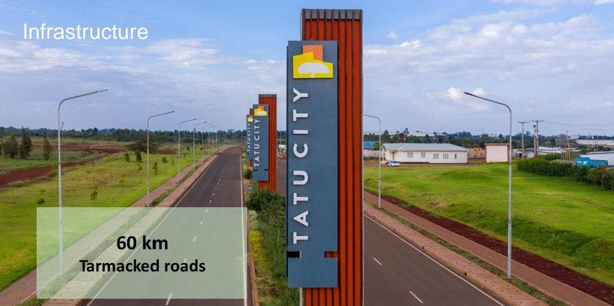 1,000 m² Land at Tatu City - 9