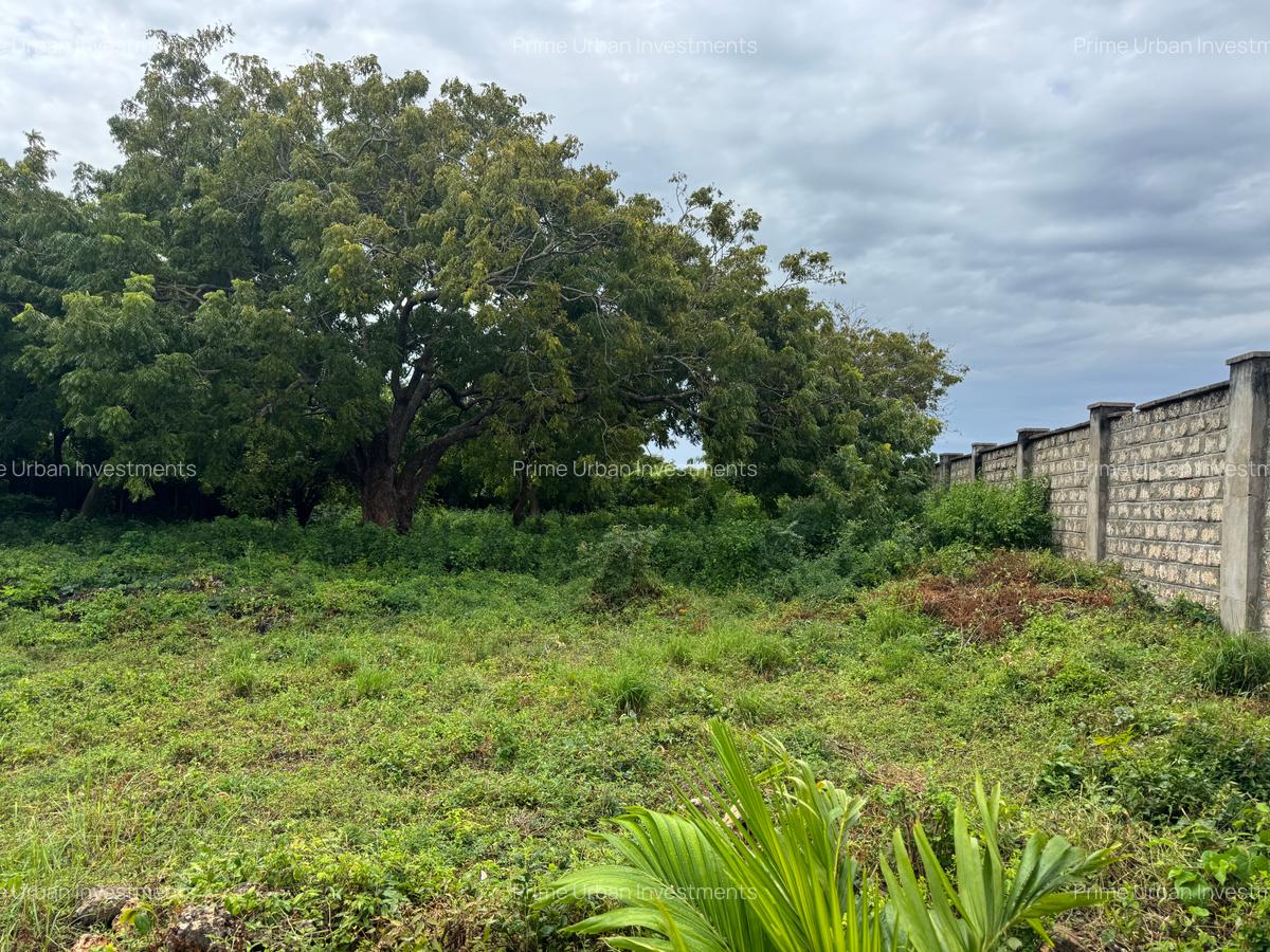 10 ac Land in Vipingo - 1