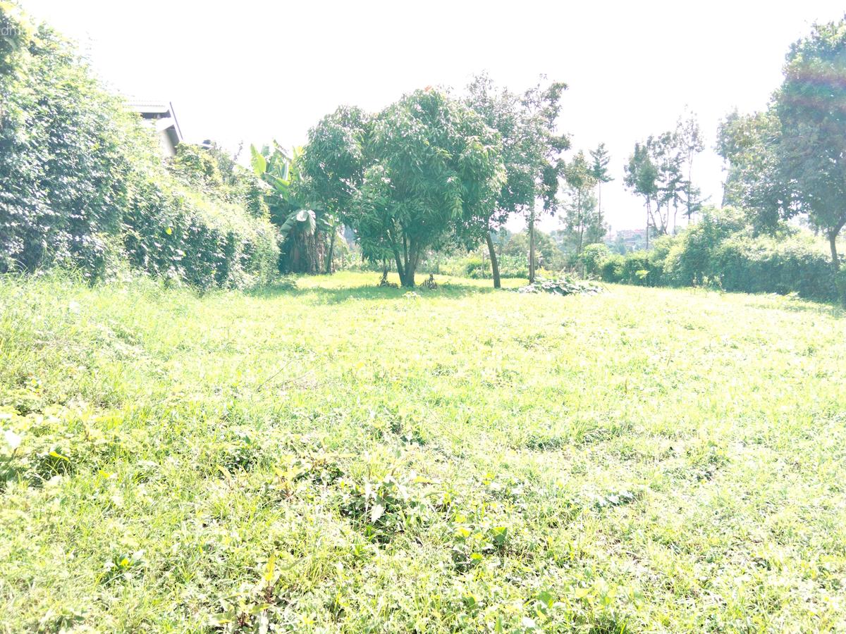 Commercial Land in Kinoo - 2