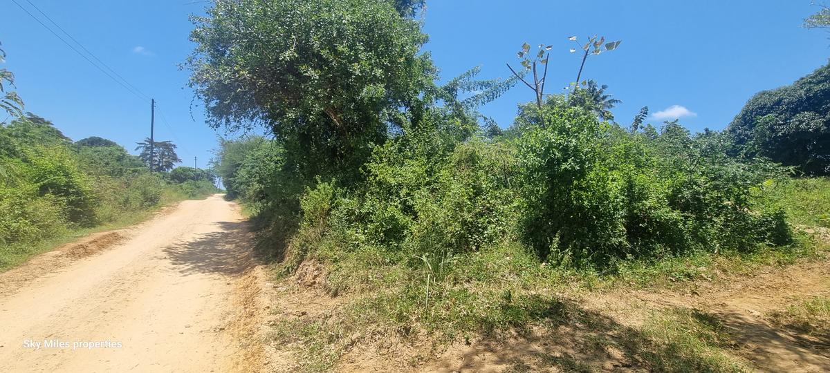 6 ac Land at Mtepeni - 9