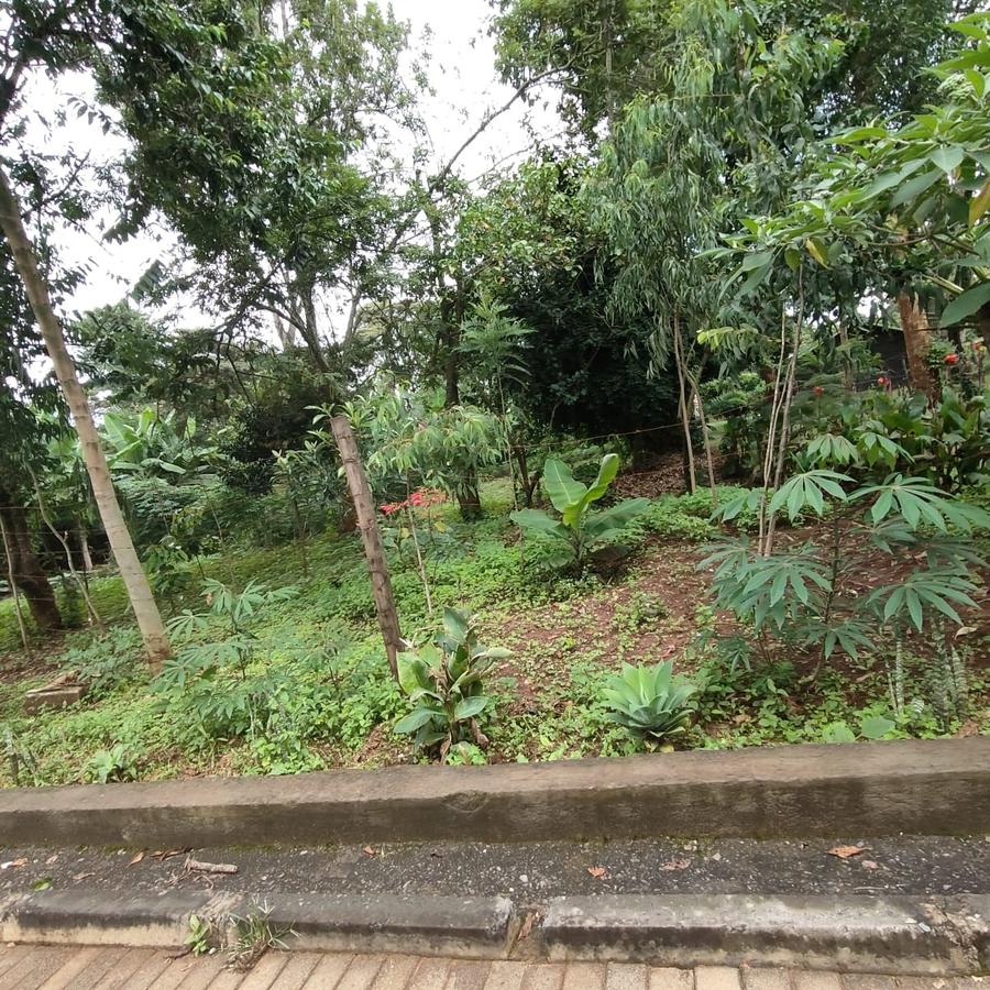 0.5 ac Land at Nandi Road - 1