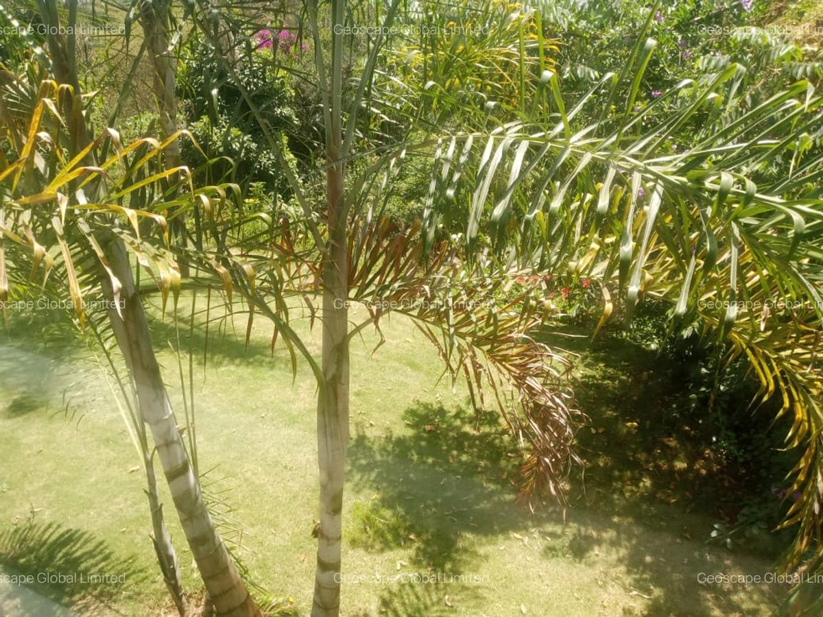 Furnished 2 Bed Apartment with En Suite in Gigiri - 13