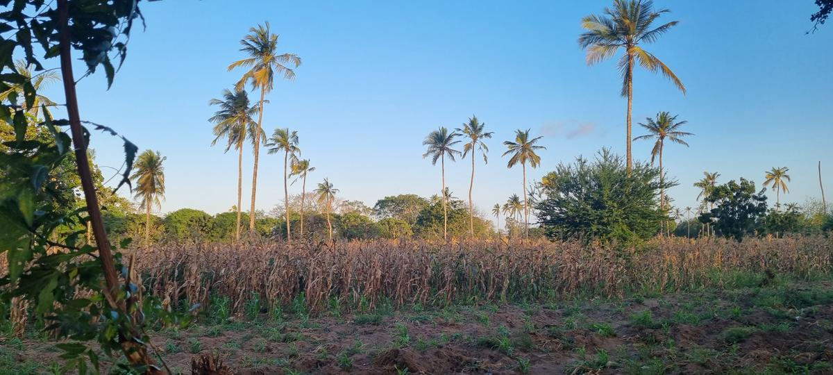 3 ac Land at Mtwapa - 10