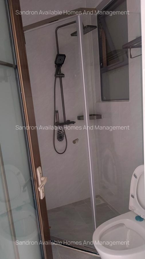 1 Bed Apartment with En Suite in Kileleshwa - 9