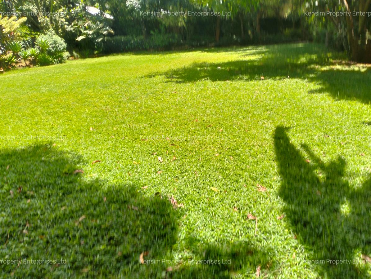 10,000 ft² Commercial Property with Backup Generator in Lavington - 10