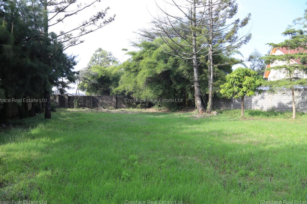 Residential Land in Lavington - 7