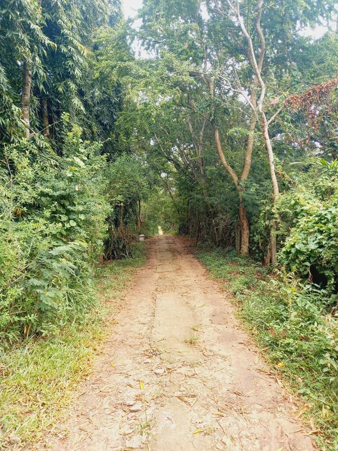 1 ac Land in Mtwapa - 10