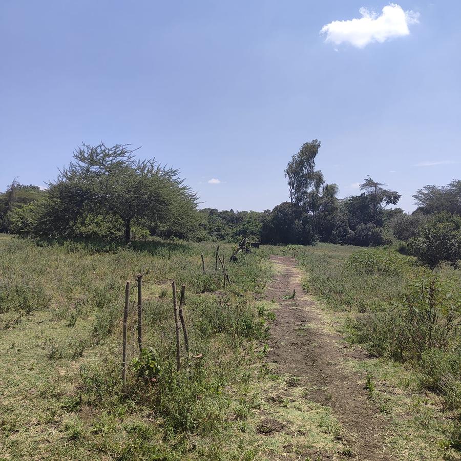 1 ac Land at Ndovu Road - 14