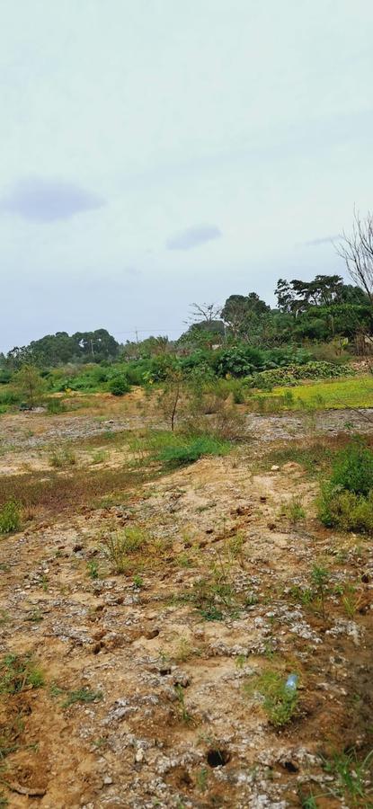 Residential Land in Kilifi - 6