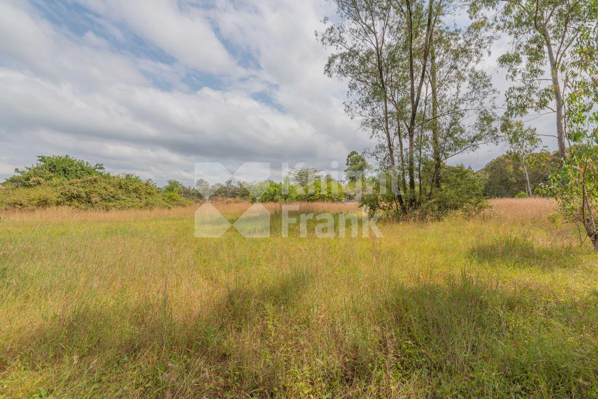 Land at Westwood Park Road - 4