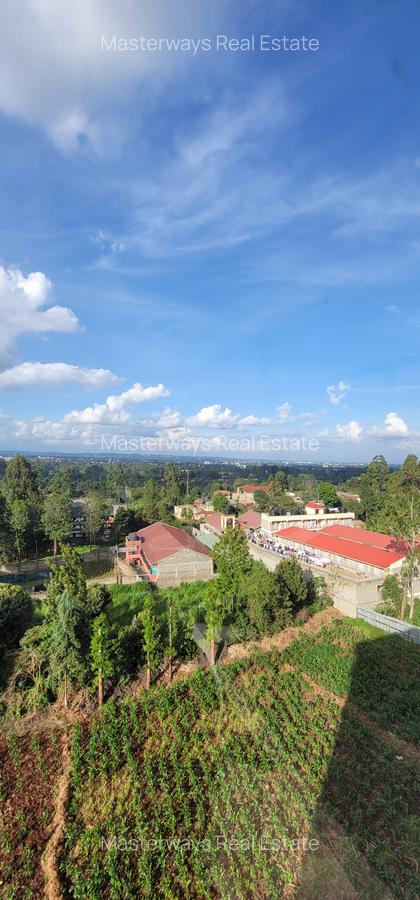 1 Bed Apartment with En Suite at 87 Mall - 5