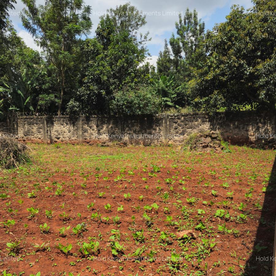 0.25 ac Land at Nyati Drive - 4