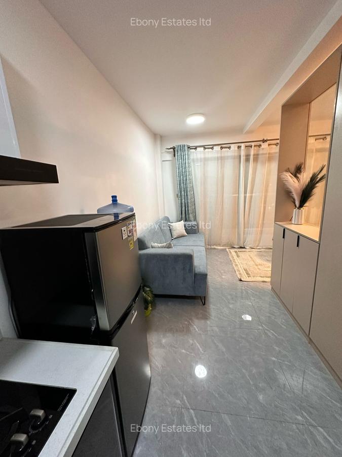 Studio Apartment with Swimming Pool in Kileleshwa - 14