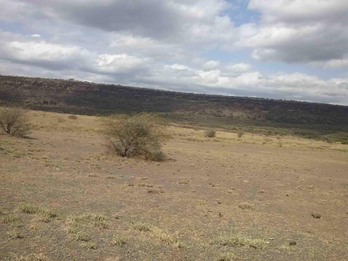 100 ac Land at Olepolos - 13