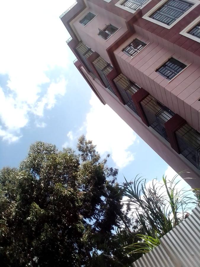 1 Bed Apartment with Parking in Ruaka - 7