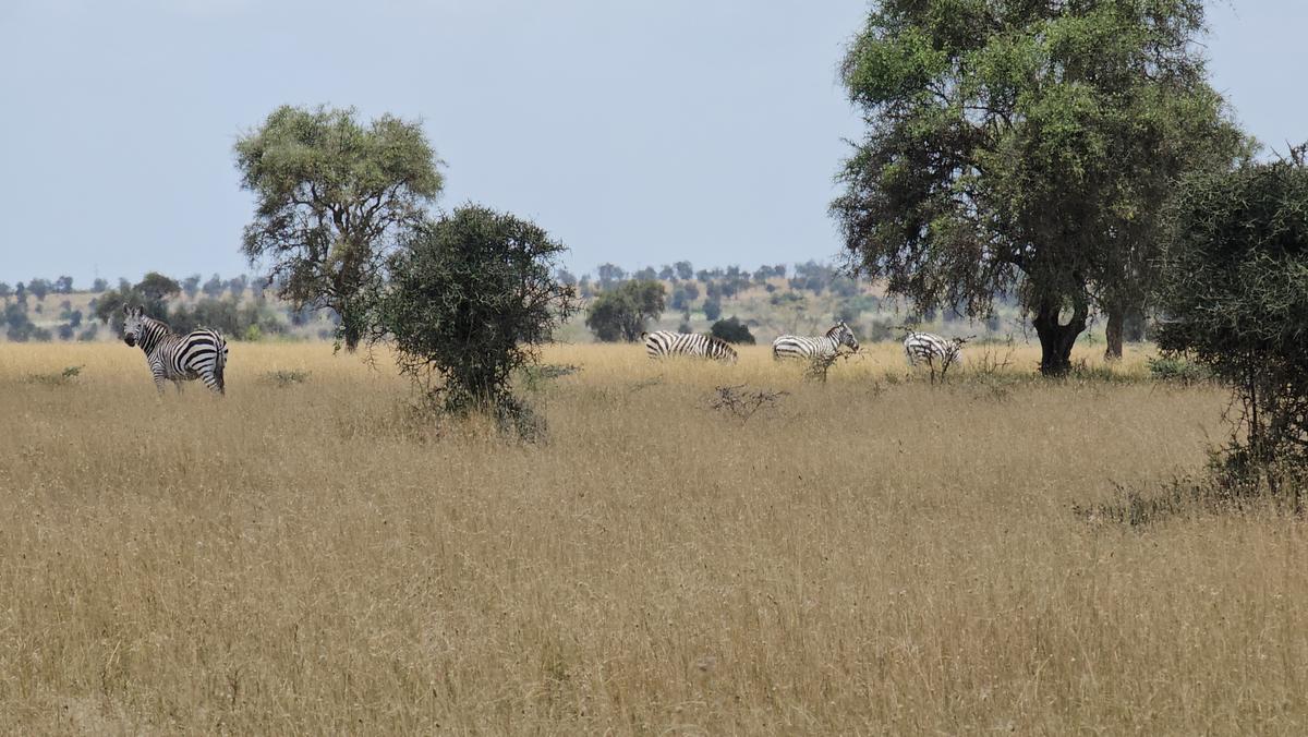 5,000 ac Land at Mombasa Road - 5