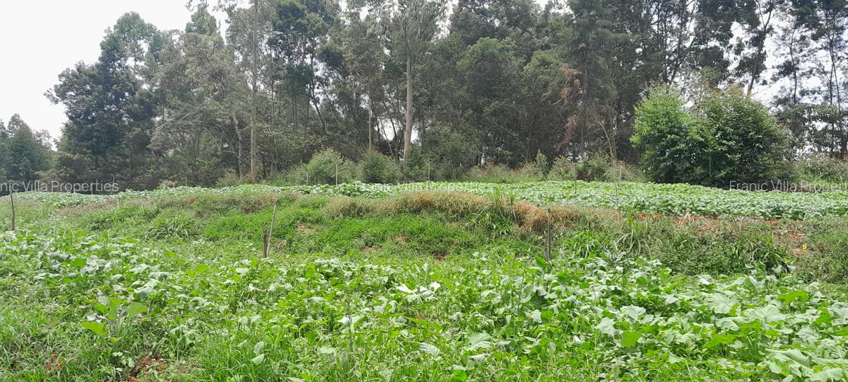 Residential Land at Kabuku Near St Paul University - 15