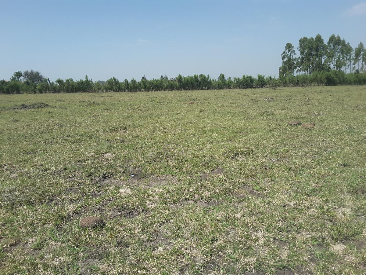 2 ac Residential Land in Ongata Rongai - 13