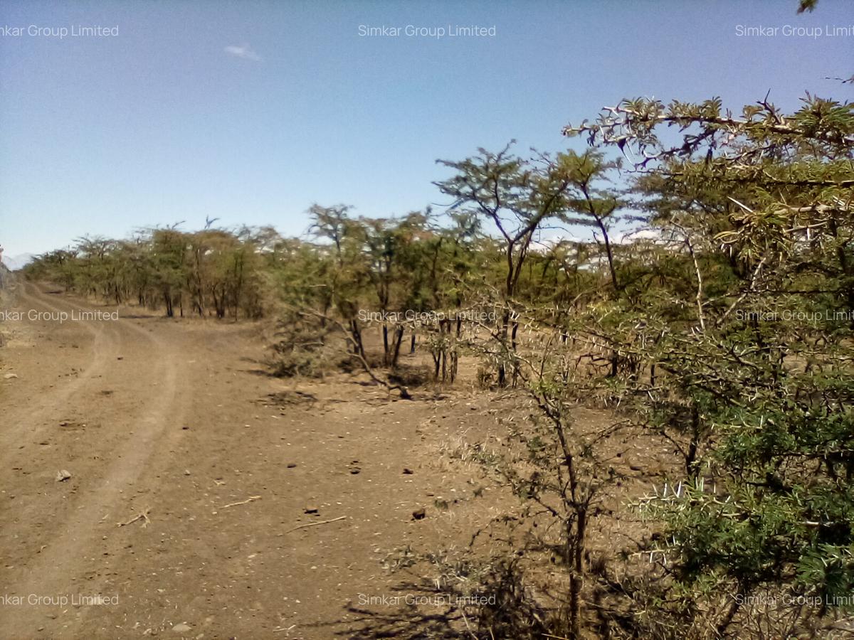 Land at Nanyuki - 7