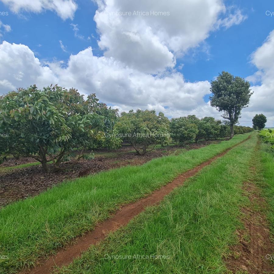 420 ac Land at Kiambu - 9