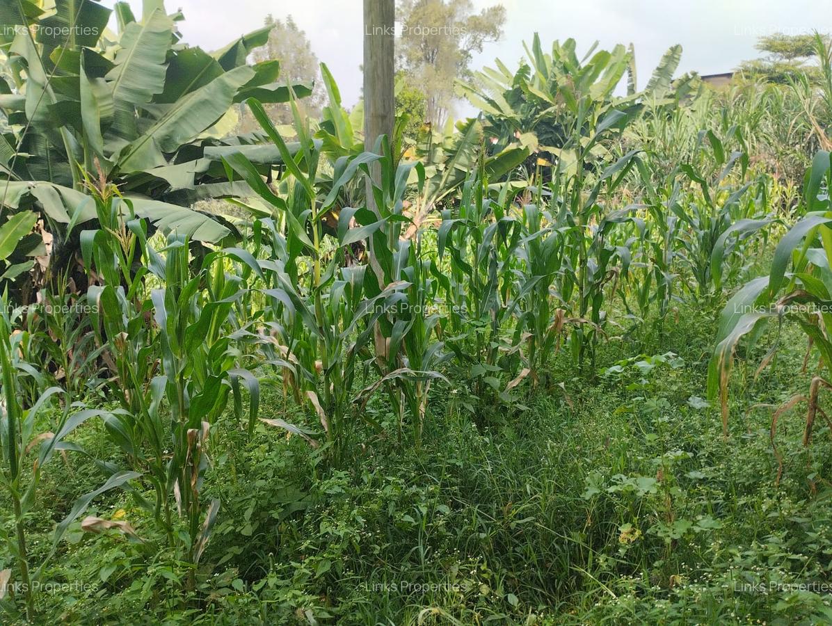 Residential Land at Kerarapon Road - 1