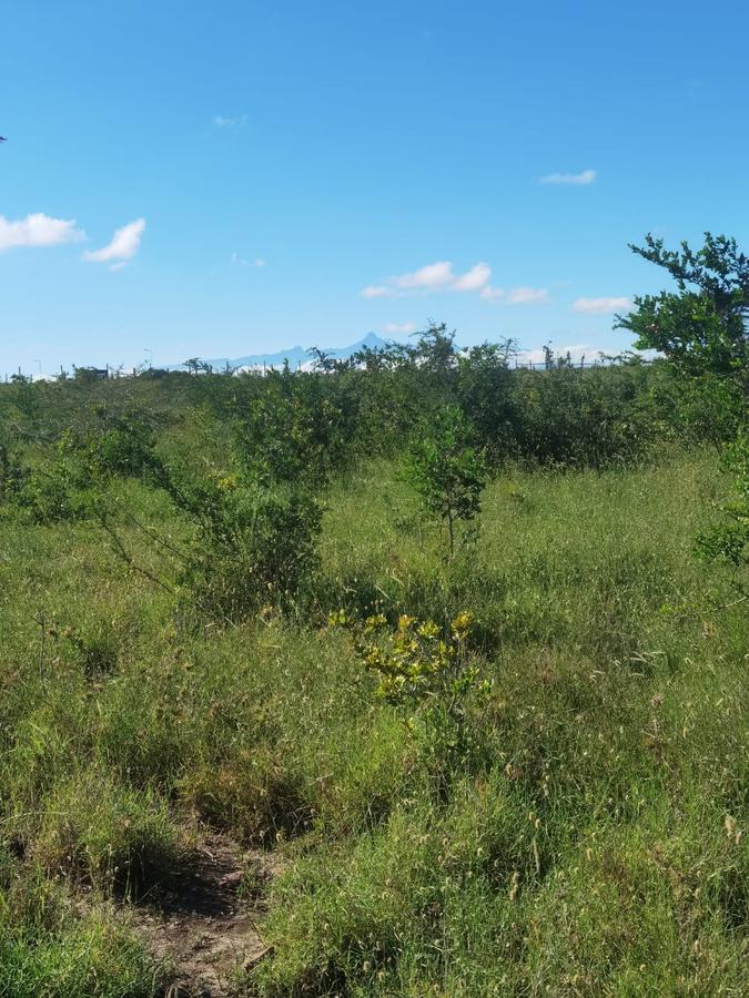 57 ac Land in Nanyuki - 6