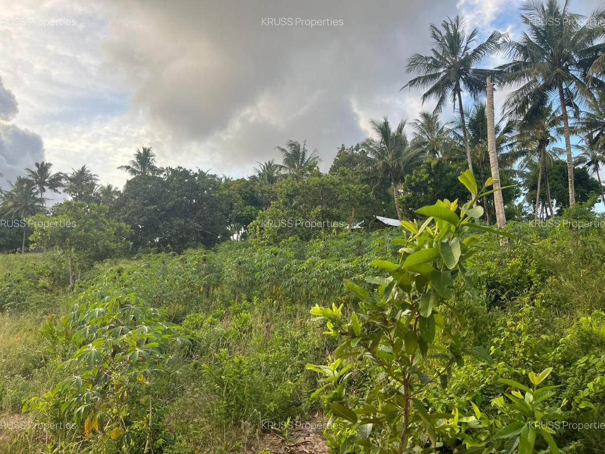 0.6 ac Land at Ls219 - 3