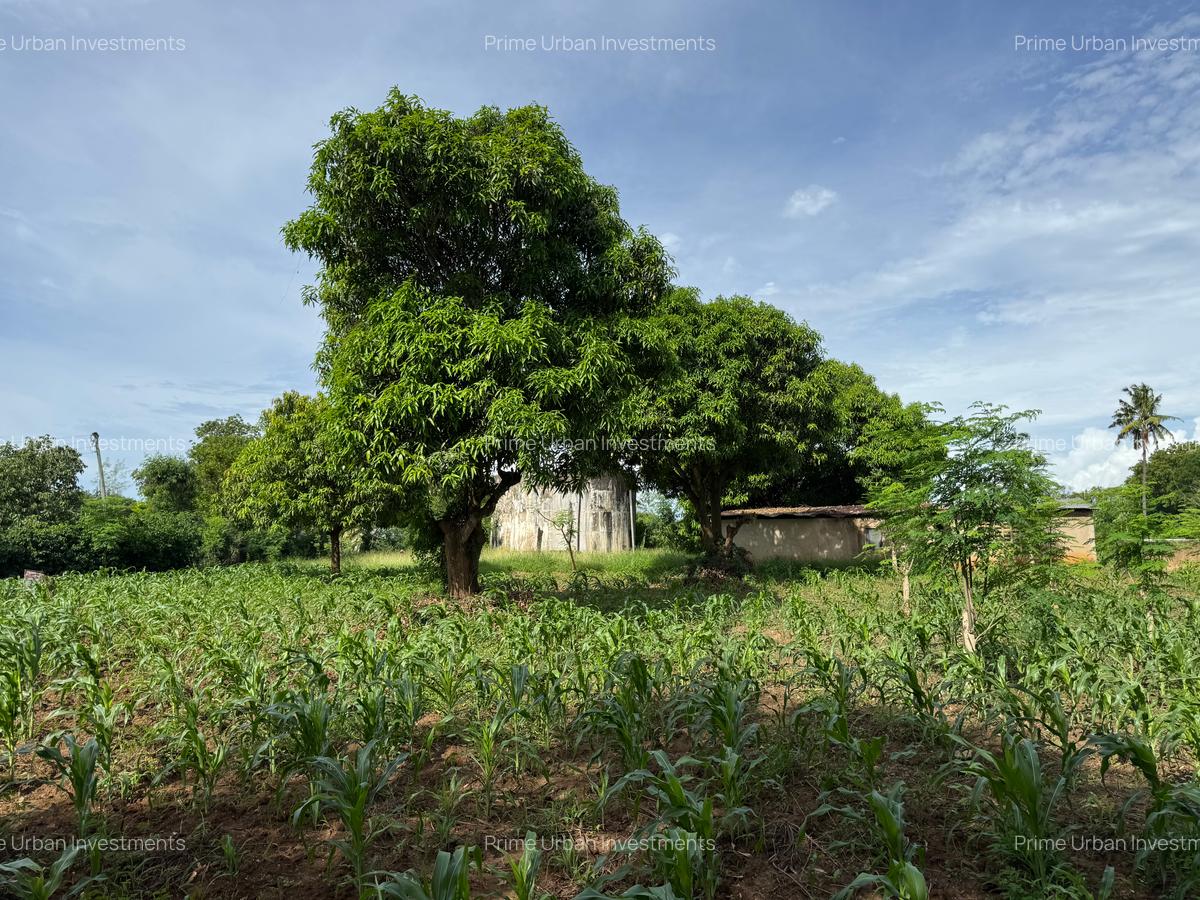 Land in Kikambala - 16