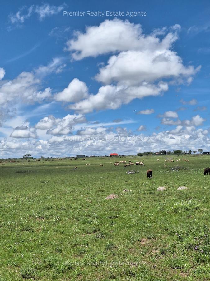 0.125 ac Residential Land at Kitengela - 11