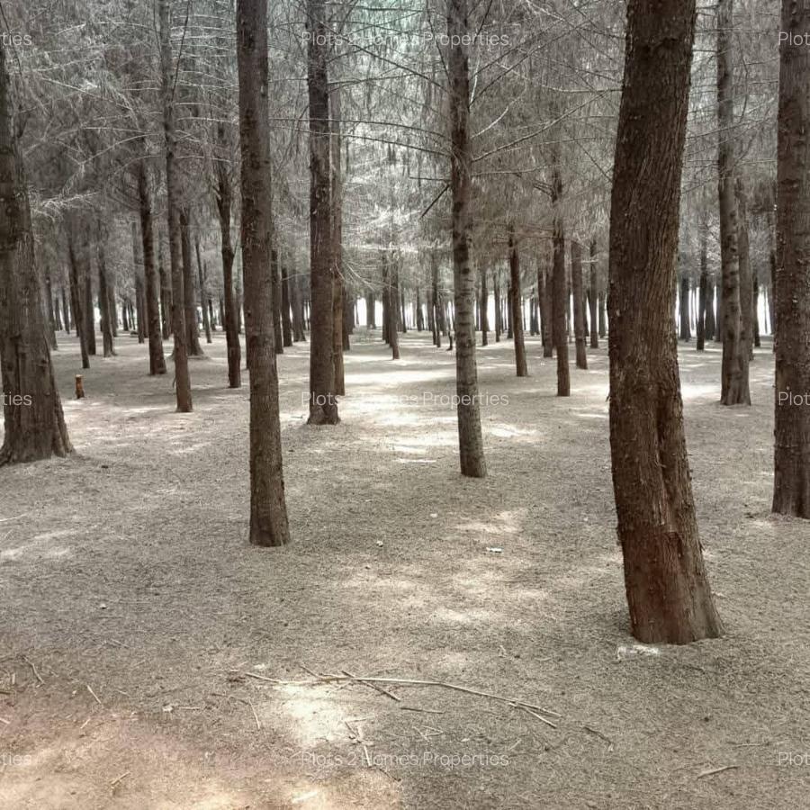 1,000 m² Residential Land at Zuri Springs Estate - 15