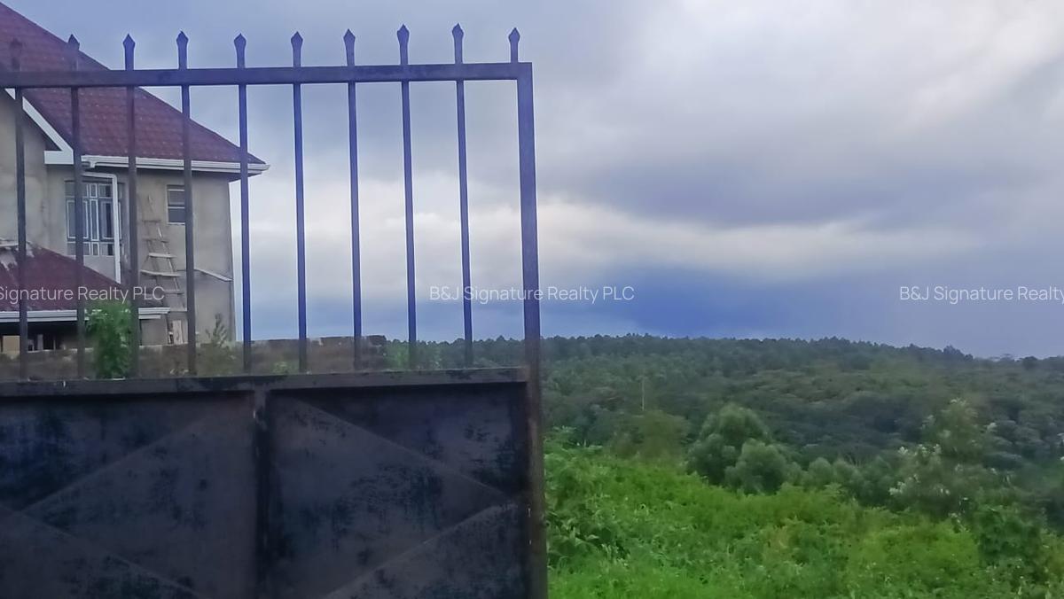 5 Bed Villa with En Suite in Karen - 3