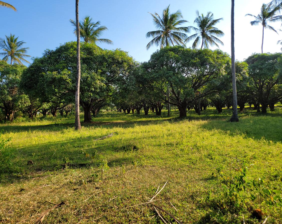 Residential Land in Nyali Area - 18