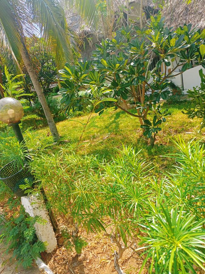 2 Bed Villa with Swimming Pool at Mambrui Beach - 10