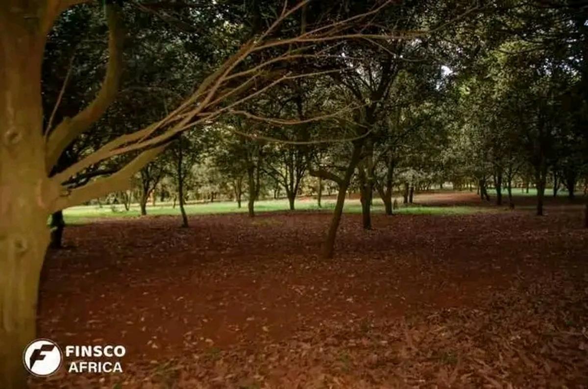 50 ft² Residential Land at Juja - 20