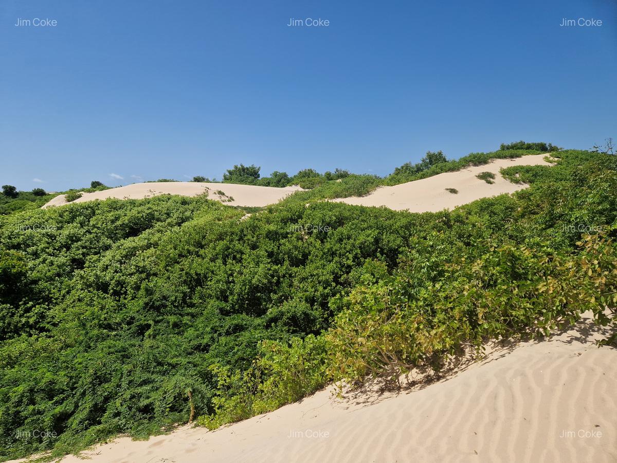 0.125 ac Land in Malindi - 13