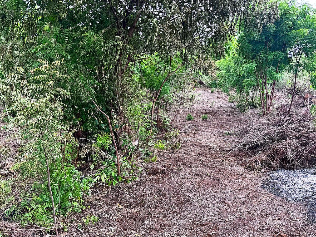 2,010 m² Residential Land at Second Row Kuruwitu Beach - 16