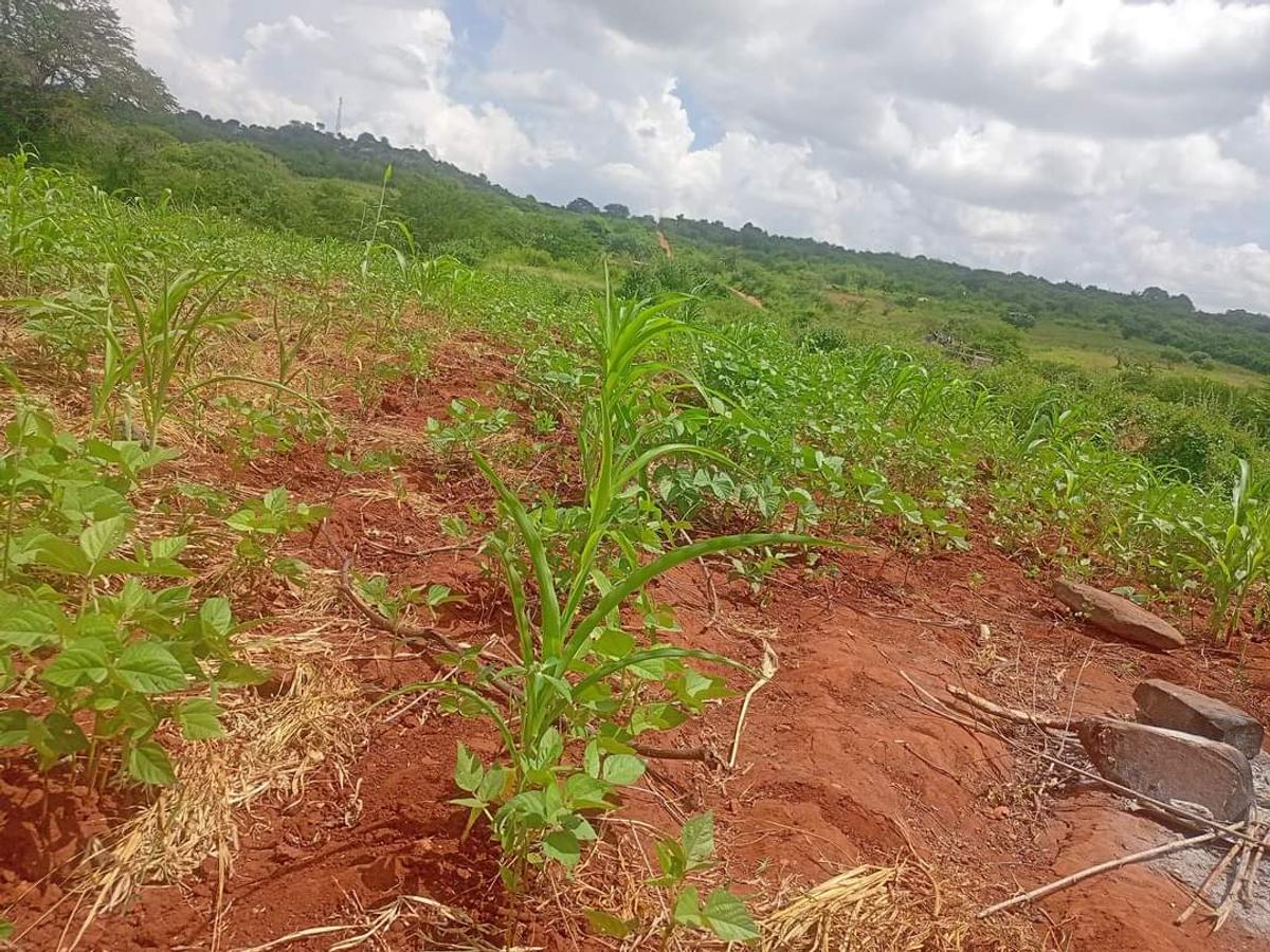 Residential Land at Mutuabare - 13