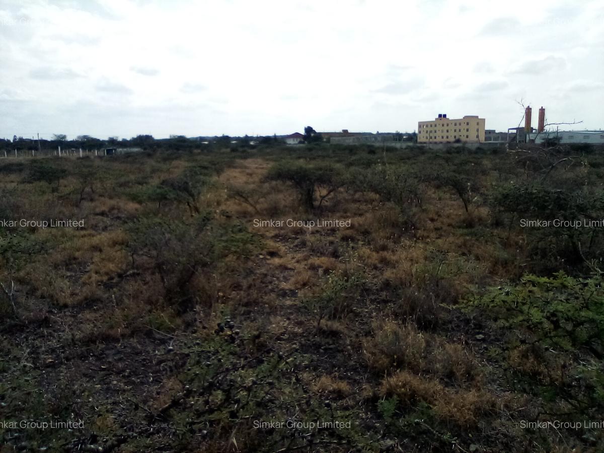 20 ac Land at Namanga Rd - 4