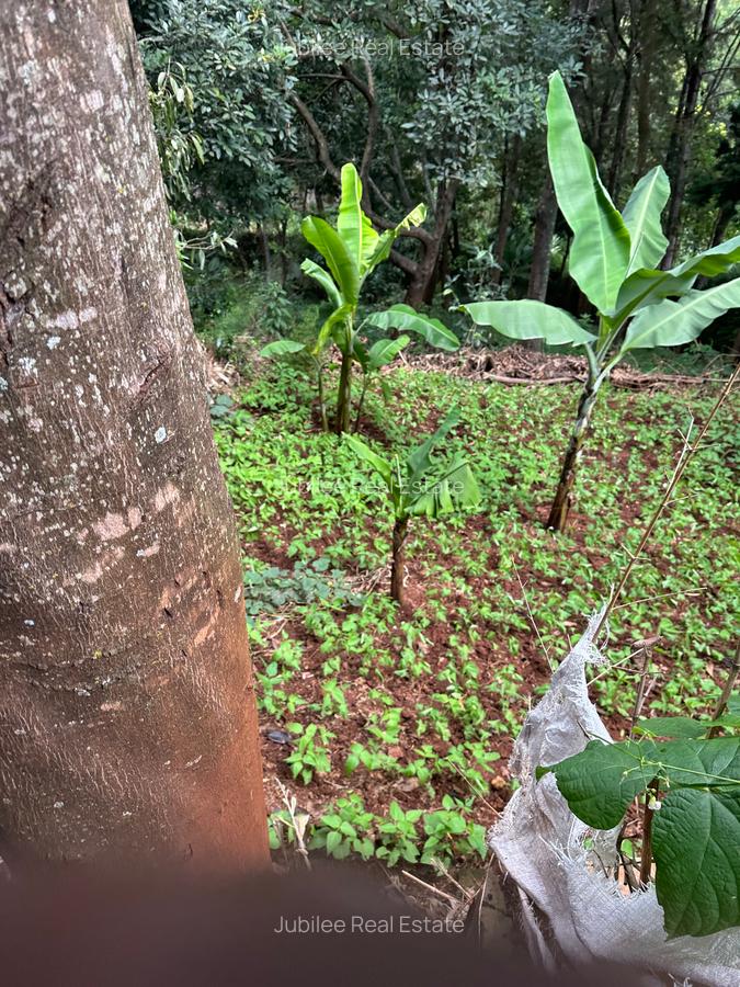 1 ac Land in Nyari - 2