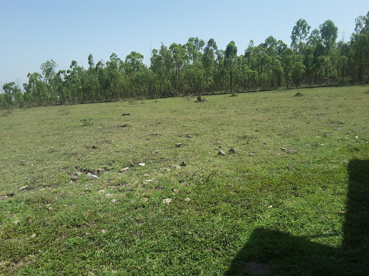 2 ac Residential Land in Ongata Rongai - 12